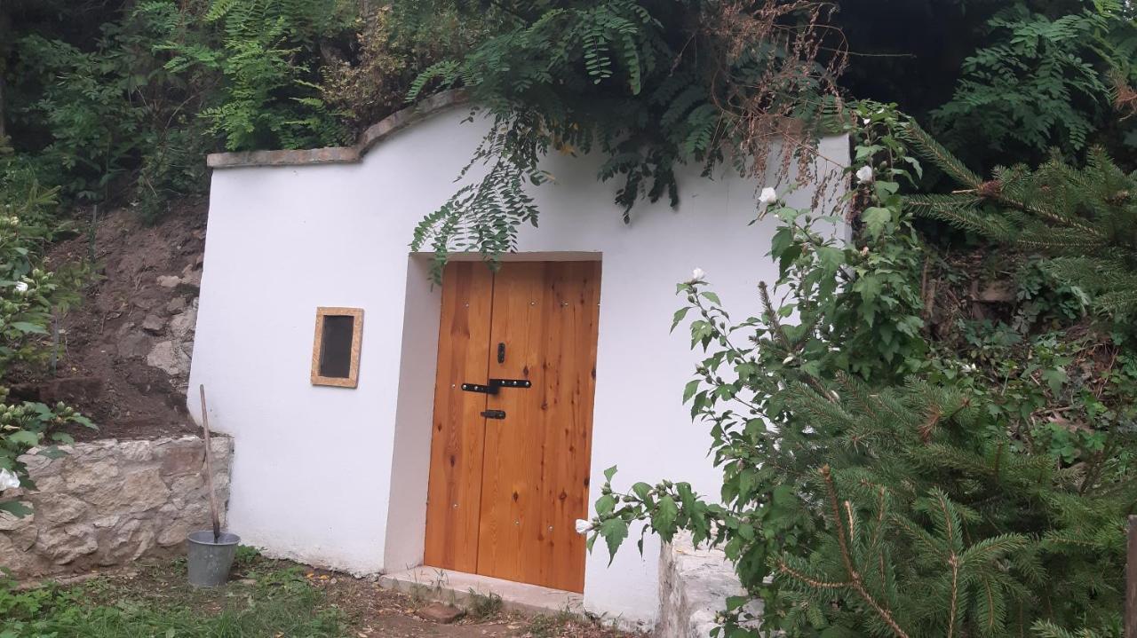 Appartamento Pavlov24 - Zahradni Domecky Esterno foto