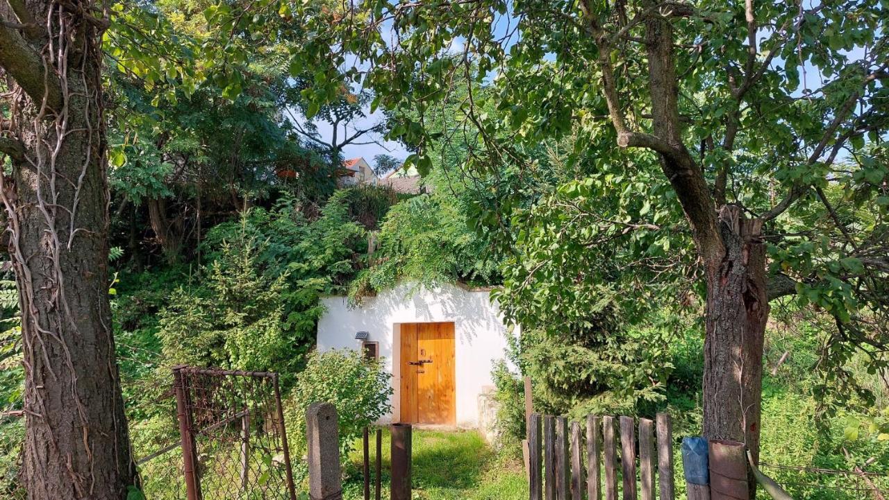 Appartamento Pavlov24 - Zahradni Domecky Esterno foto